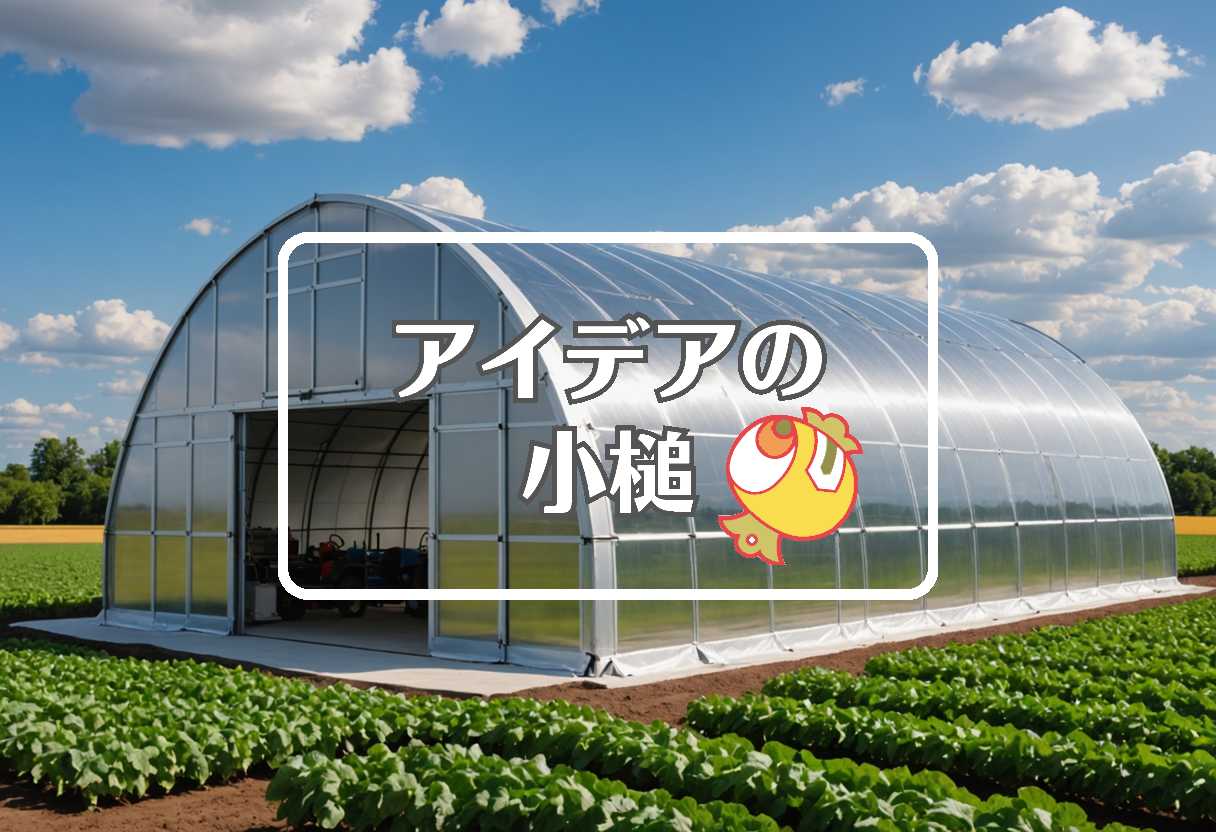 週間天気×石井亮次×hkt48 メンバー、ほか（2025/12/16）