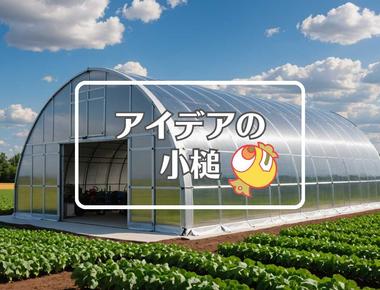 週間天気×柔軟な膜を使用する、ほか（2025年12月17日）